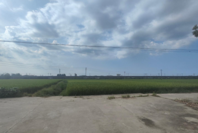 记录我在农村的躺平生活