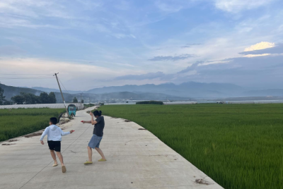 老家真正是一个人内心的港湾