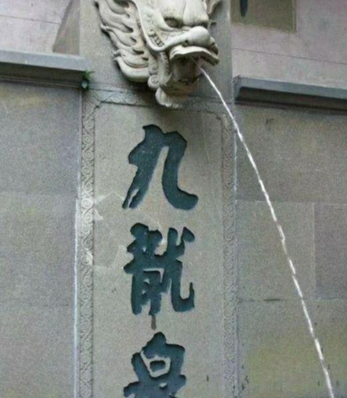 1741862731893.jpg
