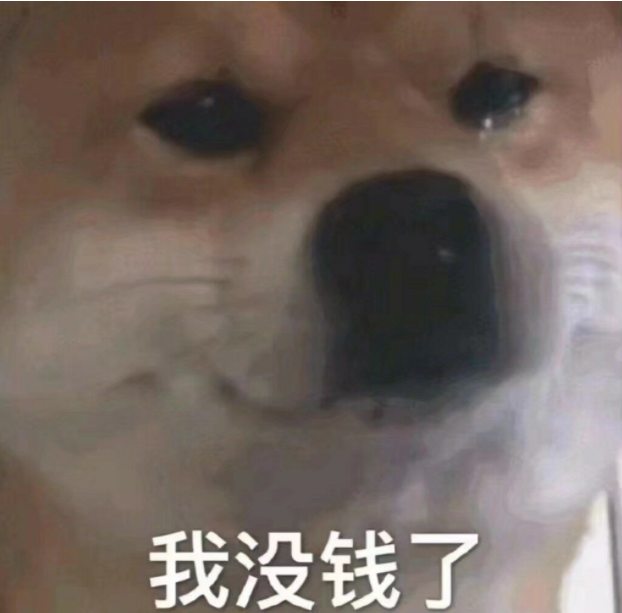 1742283384691.jpg