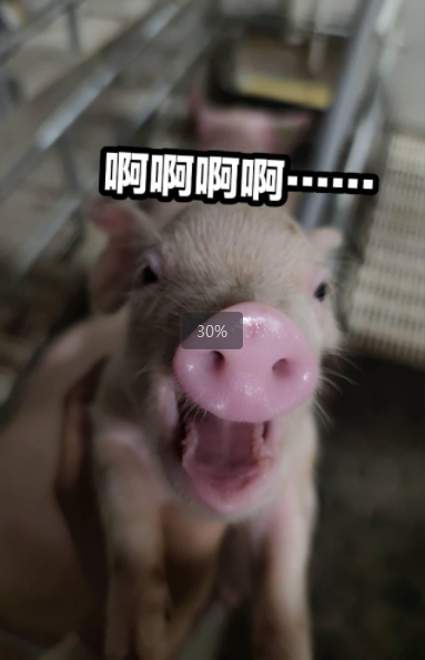 1742283448401.jpg