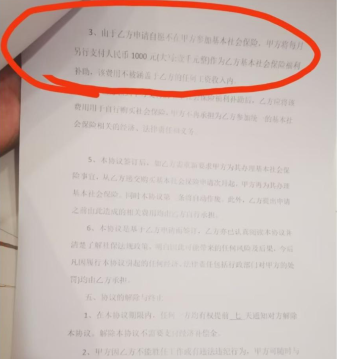 1743067066683.jpg