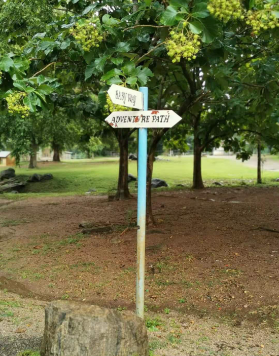1743152331566.jpg