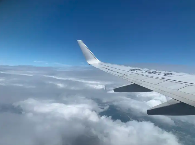 1746334982983.jpg