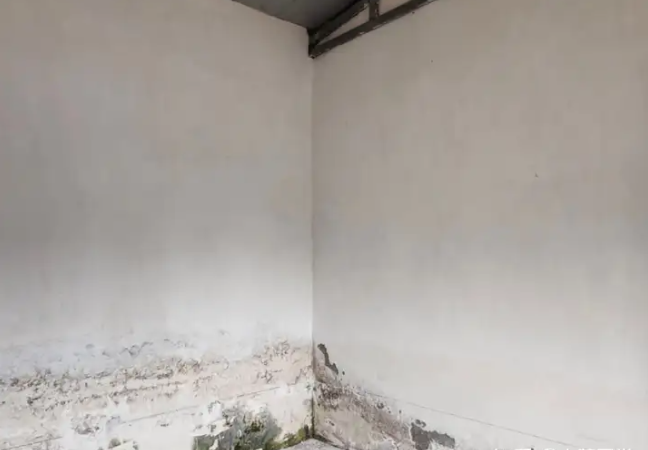1747382806834.jpg