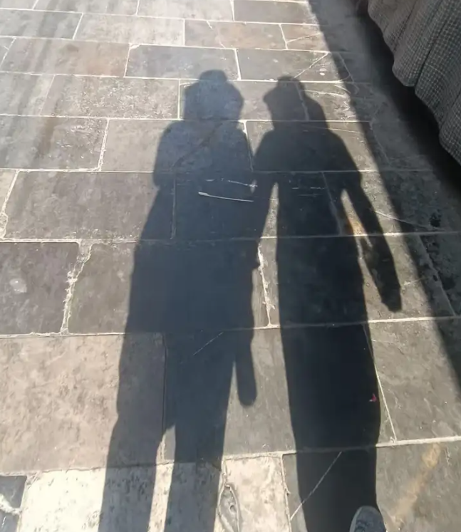 1747392884306.jpg