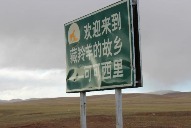 1747556328073.jpg