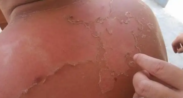 1747645176926.jpg
