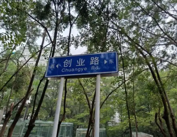 1749280108526.jpg