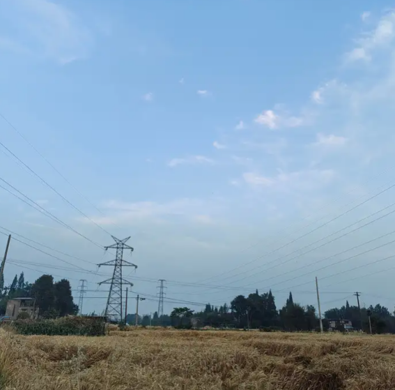 1754019819850.jpg
