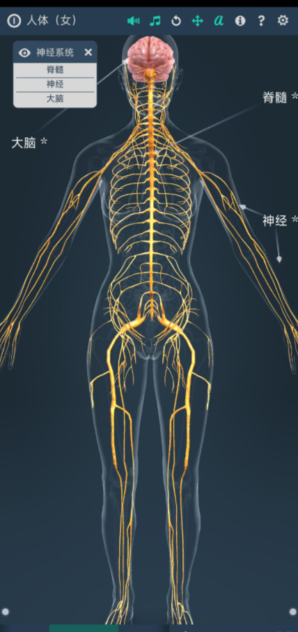 7be695da-6c35-4ba2-a5dd-1e7a5c2a1662.png