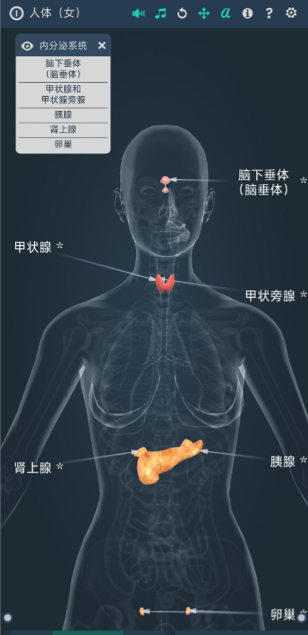 c5c93bec-c9c8-4524-bf5a-782b755463b4.png