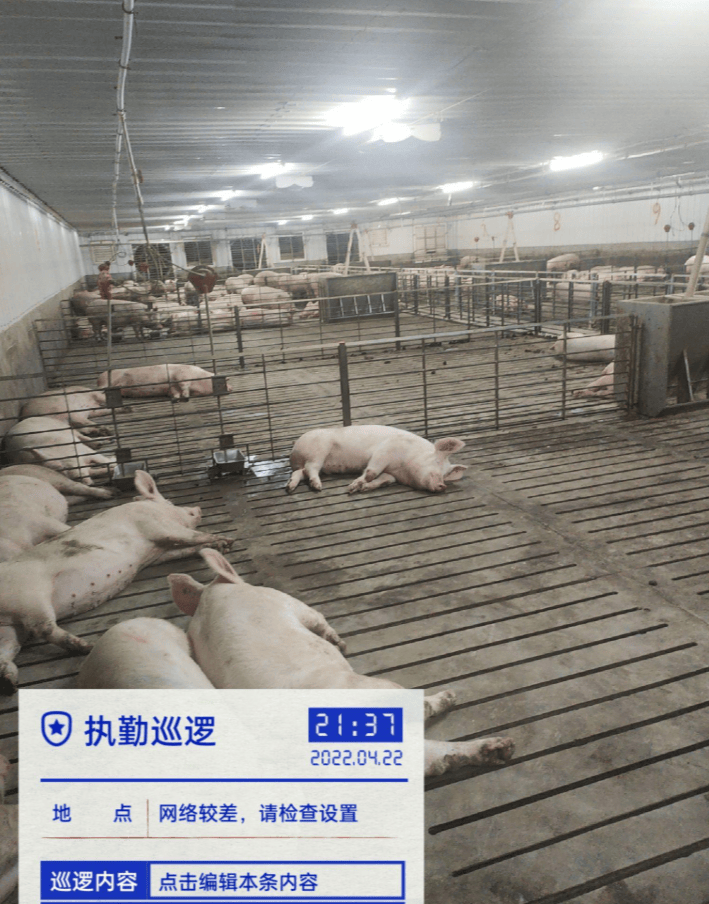 feecdb7b-1d95-419d-8394-968c34973f8d_副本.png