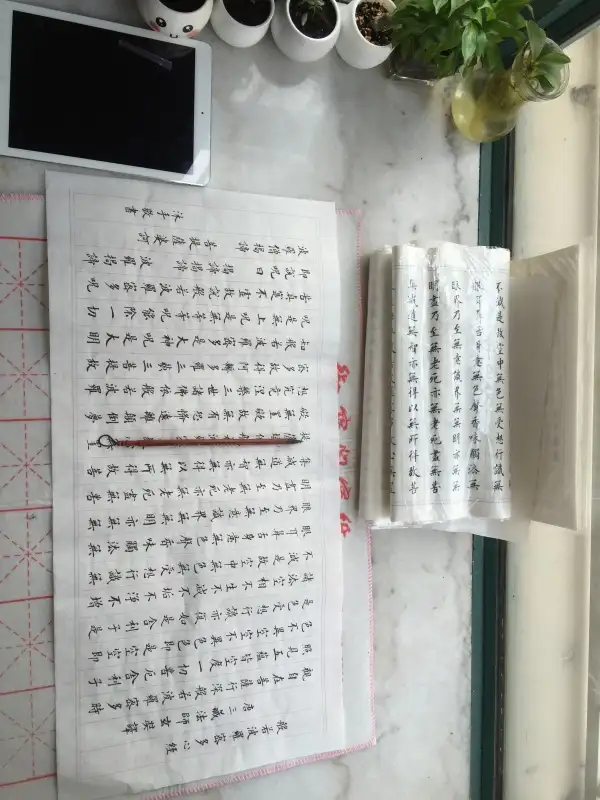 ffecc44e-5503-4cb5-ae59-f0977fe69105.png