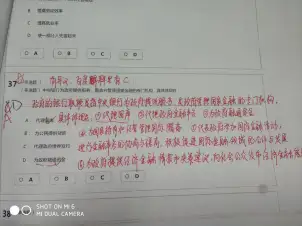 2a19ef48-775a-4b9d-8912-b109a183ff9d.png