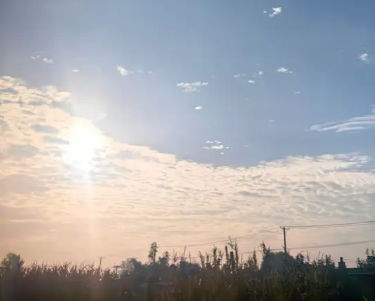 2ea9925a-30f8-4d10-ab95-ed119f9e8034.png